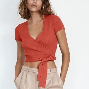 Aritzia Wilfred All Tied Up Sweater Shirt